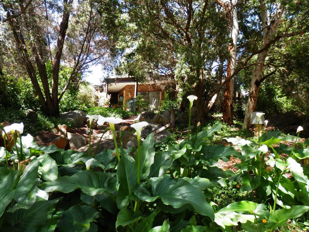 The Hideaway Luxury B&B Retreat Armadale Екстериор снимка